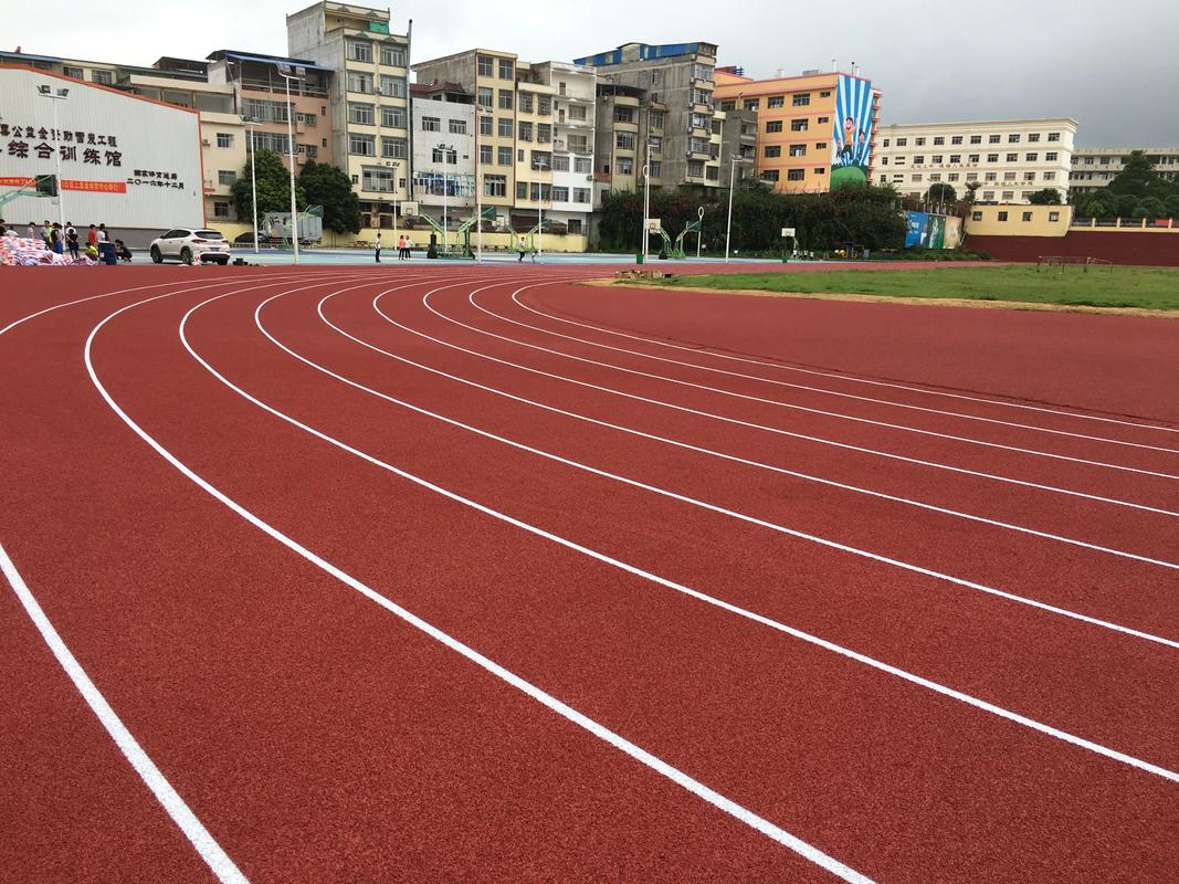 普洱市塑胶跑道塑胶跑道材料 - 厂家